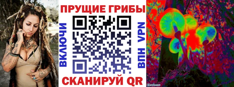 Галлюциногенные грибы Cubensis  закладка  нарко площадка клад  Усть-Катав 